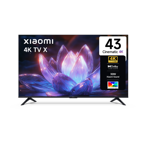 Xiaomi Smart TV X Series 43 (108 cm)
